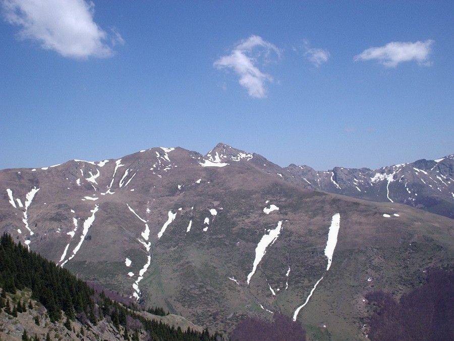 Натиснете снимката за да я уголемите

Име:4705714t.jpg
Прегледи:2
Размер:99.8 КБ
ID:5370243