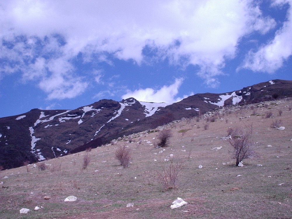 Натиснете снимката за да я уголемите

Име:Picture 613.jpg
Прегледи:1
Размер:194.8 КБ
ID:5362685