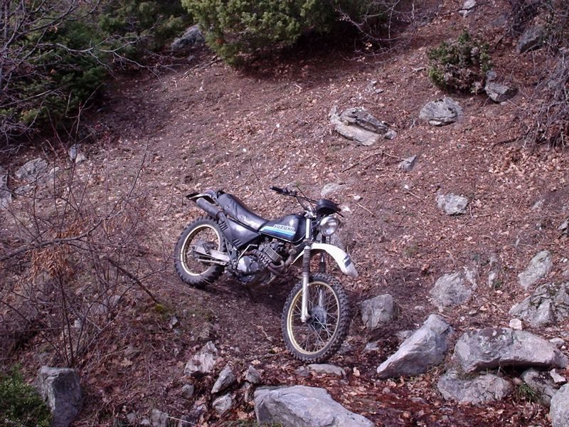 Натиснете снимката за да я уголемите

Име:4452960f.jpg
Прегледи:1
Размер:160.3 КБ
ID:5350962