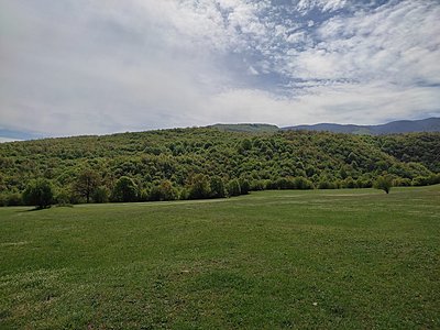 Натиснете снимката за да я уголемите  Име:IMG_20230429_122444.jpg Прегледи:0 Размер:736.5 КБ ID:6922212