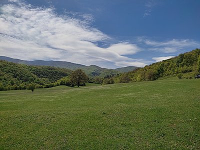 Натиснете снимката за да я уголемите  Име:IMG_20230429_122448.jpg Прегледи:0 Размер:738.8 КБ ID:6922213