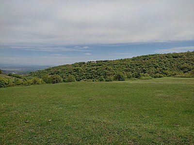 Натиснете снимката за да я уголемите  Име:IMG_20230429_122438.jpg Прегледи:0 Размер:800.5 КБ ID:6922214