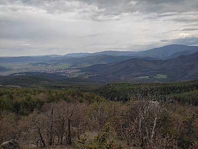 Натиснете снимката за да я уголемите  Име:IMG_20230429_165621.jpg Прегледи:0 Размер:531.6 КБ ID:6922220