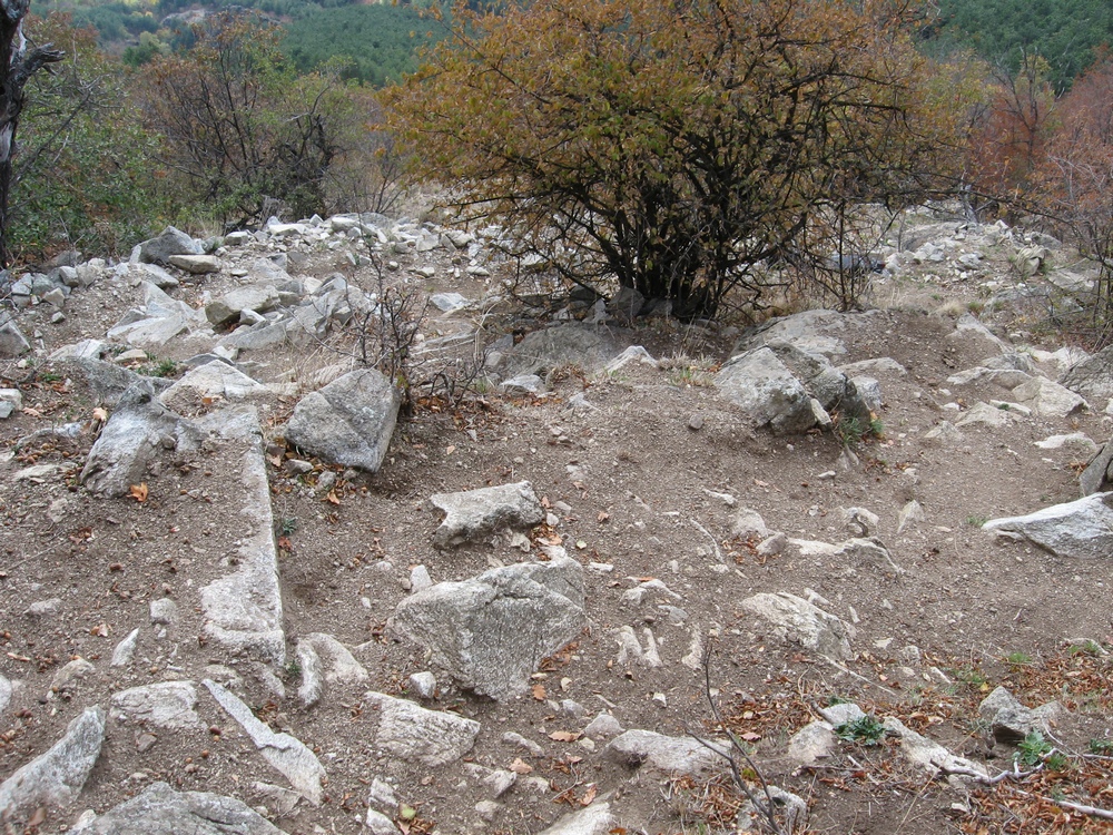 Натиснете снимката за да я уголемите

Име:Picture 239.jpg
Прегледи:1
Размер:552.6 КБ
ID:5424042