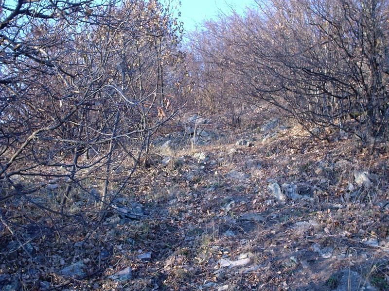 Натиснете снимката за да я уголемите

Име:4116643e.jpg
Прегледи:1
Размер:172.2 КБ
ID:5325542
