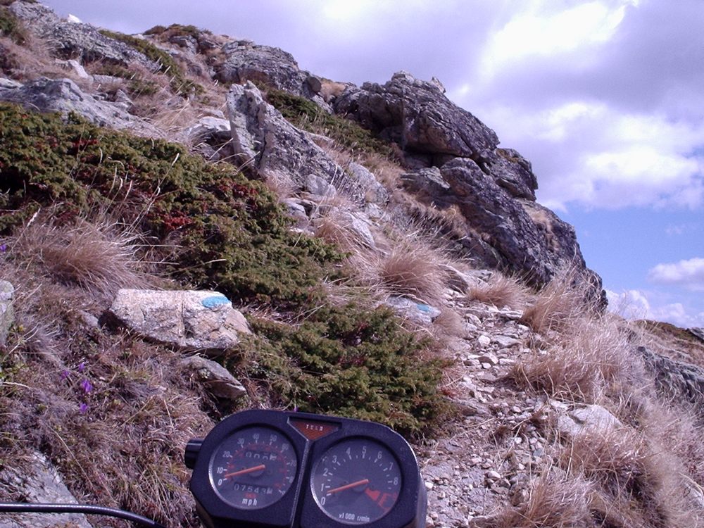 Натиснете снимката за да я уголемите

Име:Picture 624.jpg
Прегледи:1
Размер:214.1 КБ
ID:5362695