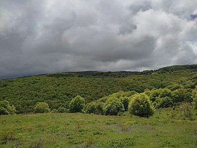 Натиснете снимката за да я уголемите

Име:IMG_20230528_142521.jpg
Прегледи:230
Размер:608.2 КБ
ID:6925384