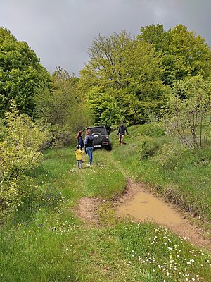 Натиснете снимката за да я уголемите

Име:IMG_20230528_142528.jpg
Прегледи:237
Размер:1.24 МБ
ID:6925386