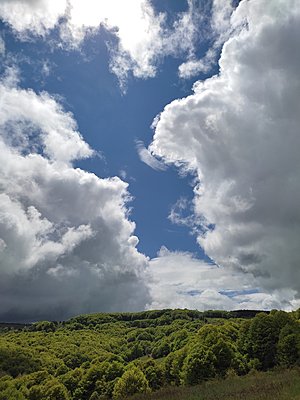 Натиснете снимката за да я уголемите

Име:IMG_20230528_145728.jpg
Прегледи:225
Размер:432.4 КБ
ID:6925387