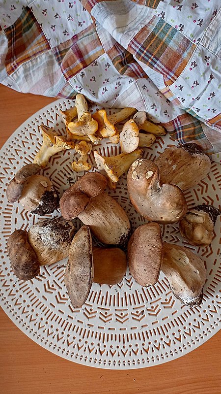 Натиснете снимката за да я уголемите

Име:351404865_264932012719631_1059488346829360122_n.jpg
Прегледи:645
Размер:356.8 КБ
ID:6926352