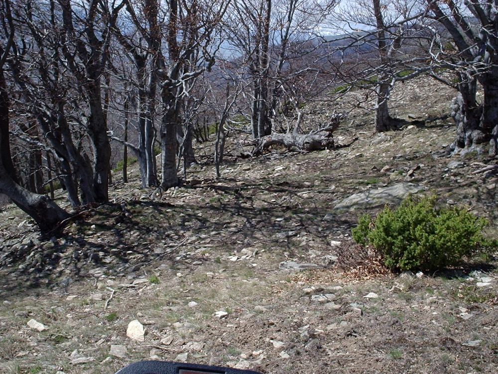 Натиснете снимката за да я уголемите

Име:Picture 637.jpg
Прегледи:1
Размер:251.9 КБ
ID:5362774