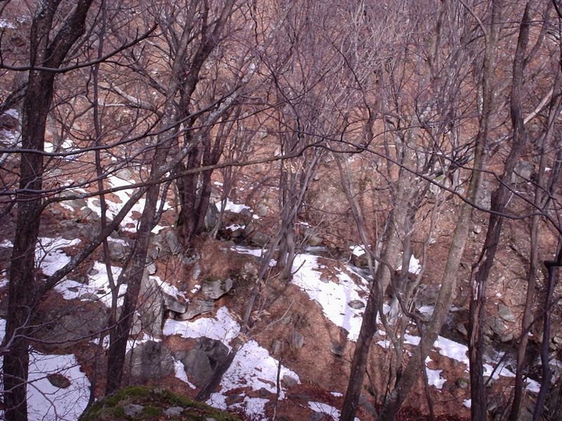 Натиснете снимката за да я уголемите

Име:4453123j.jpg
Прегледи:1
Размер:149.6 КБ
ID:5351035