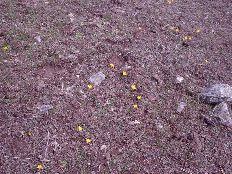 Натиснете снимката за да я уголемите

Име:4452938Z.jpg
Прегледи:1
Размер:178.0 КБ
ID:5350959