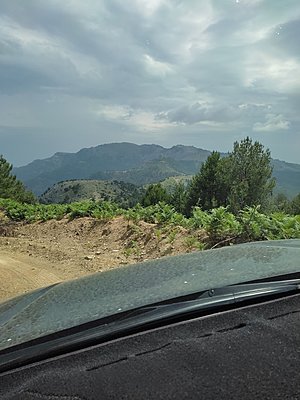 Натиснете снимката за да я уголемите  Име:IMG_20230617_150153.jpg Прегледи:0 Размер:509.1 КБ ID:6928285