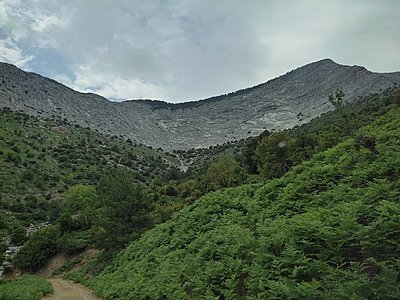 Натиснете снимката за да я уголемите  Име:IMG_20230617_151750.jpg Прегледи:0 Размер:694.4 КБ ID:6928290