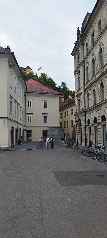 Натиснете снимката за да я уголемите  Име:IMG_20230701_193942.jpg Прегледи:255 Размер:359.0 КБ ID:6929842