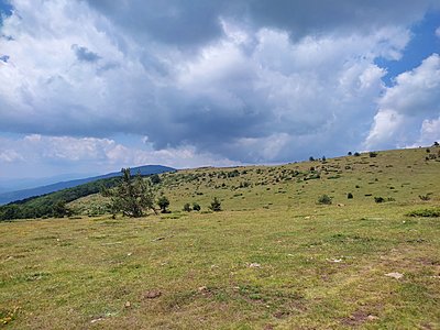 Натиснете снимката за да я уголемите  Име:IMG_20230716_134549.jpg Прегледи:0 Размер:653.2 КБ ID:6930536