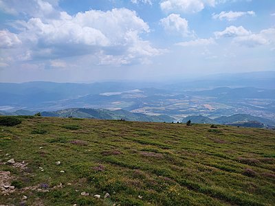 Натиснете снимката за да я уголемите  Име:IMG_20230716_151951.jpg Прегледи:0 Размер:560.8 КБ ID:6930545