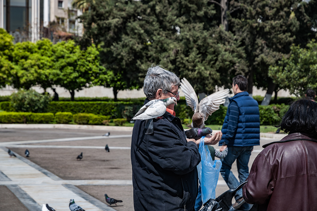 Натиснете снимката за да я уголемите  Име:DSC_2249.jpg Прегледи:0 Размер:783.1 КБ ID:6933935