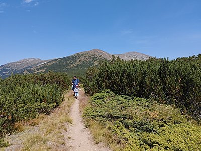 Натиснете снимката за да я уголемите

Име:IMG_20230820_135207.jpg
Прегледи:224
Размер:819.6 КБ
ID:6934348