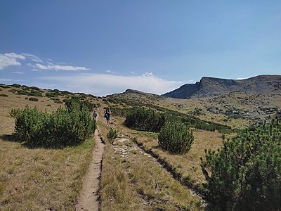 Натиснете снимката за да я уголемите

Име:IMG_20230820_154543.jpg
Прегледи:217
Размер:756.3 КБ
ID:6934363