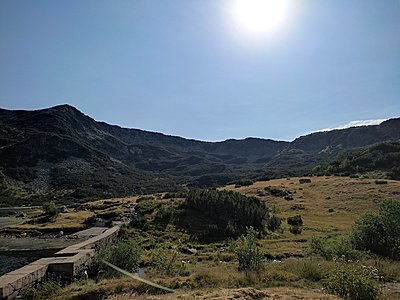 Натиснете снимката за да я уголемите

Име:IMG_20230820_170911.jpg
Прегледи:216
Размер:568.2 КБ
ID:6934365