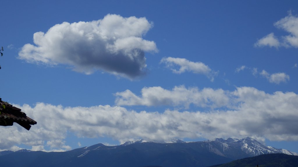 Натиснете снимката за да я уголемите

Име:P5271070.jpg
Прегледи:1
Размер:51.3 КБ
ID:5600642