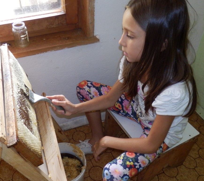 Натиснете снимката за да я уголемите

Име:P8050378.JPG
Прегледи:1
Размер:291.2 КБ
ID:5694258