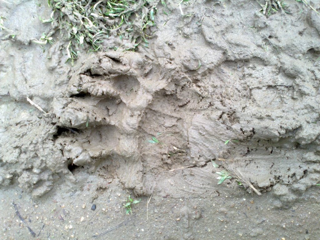 Натиснете снимката за да я уголемите

Име:06052016539.jpg
Прегледи:1
Размер:404.6 КБ
ID:5714362