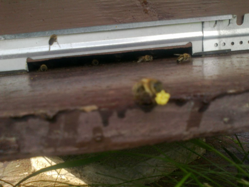 Натиснете снимката за да я уголемите

Име:28052014421.jpg
Прегледи:1
Размер:87.2 КБ
ID:5589914