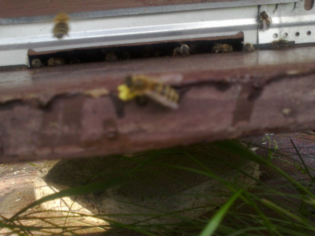 Натиснете снимката за да я уголемите

Име:28052014423.jpg
Прегледи:1
Размер:91.3 КБ
ID:5589915