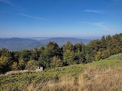 Натиснете снимката за да я уголемите

Име:IMG_20231007_154154.jpg
Прегледи:604
Размер:920.2 КБ
ID:6939914