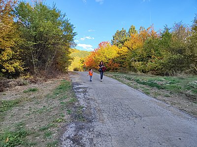 Натиснете снимката за да я уголемите  Име:IMG_20231015_173005.jpg Прегледи:0 Размер:1.12 МБ ID:6940548