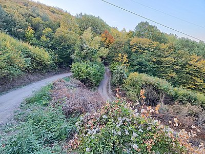 Натиснете снимката за да я уголемите  Име:IMG_20231015_173052.jpg Прегледи:0 Размер:1.25 МБ ID:6940549