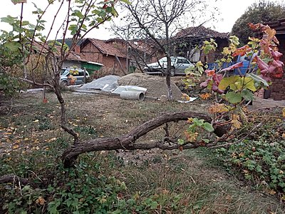 Натиснете снимката за да я уголемите

Име:IMG_20231027_153925_039.jpg
Прегледи:707
Размер:1.13 МБ
ID:6941642