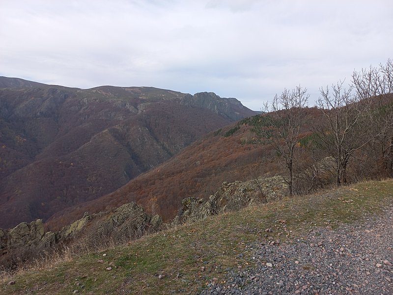 Натиснете снимката за да я уголемите

Име:20211107_125846_copy_1849x1387.jpg
Прегледи:581
Размер:637.3 КБ
ID:6942361