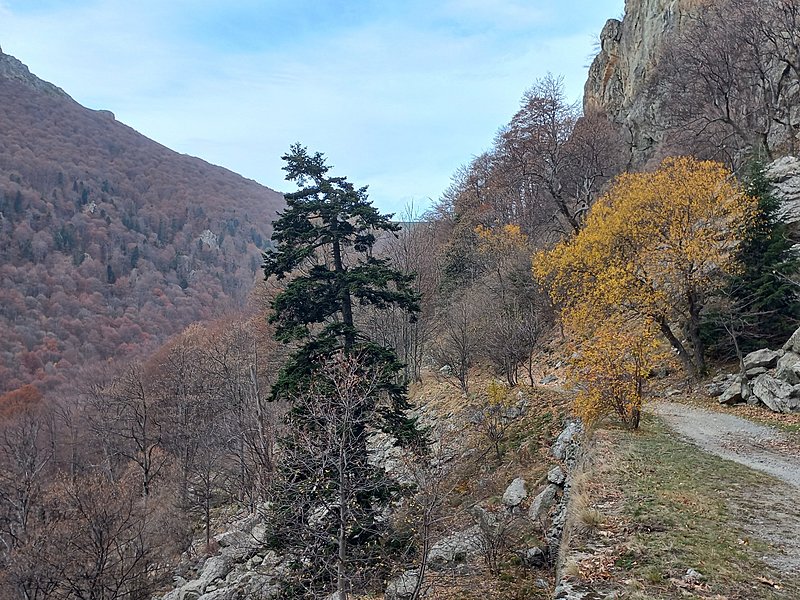 Натиснете снимката за да я уголемите

Име:20211107_132622_copy_1849x1387.jpg
Прегледи:580
Размер:871.6 КБ
ID:6942364