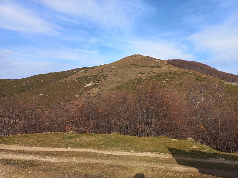 Натиснете снимката за да я уголемите

Име:20211107_141213_copy_1849x1387.jpg
Прегледи:584
Размер:515.5 КБ
ID:6942366