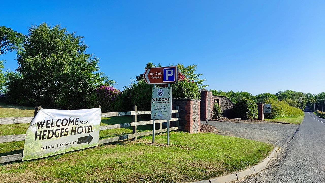 Натиснете снимката за да я уголемите

Име:IMG_20230605_085238.jpg
Прегледи:429
Размер:588.9 КБ
ID:6945639