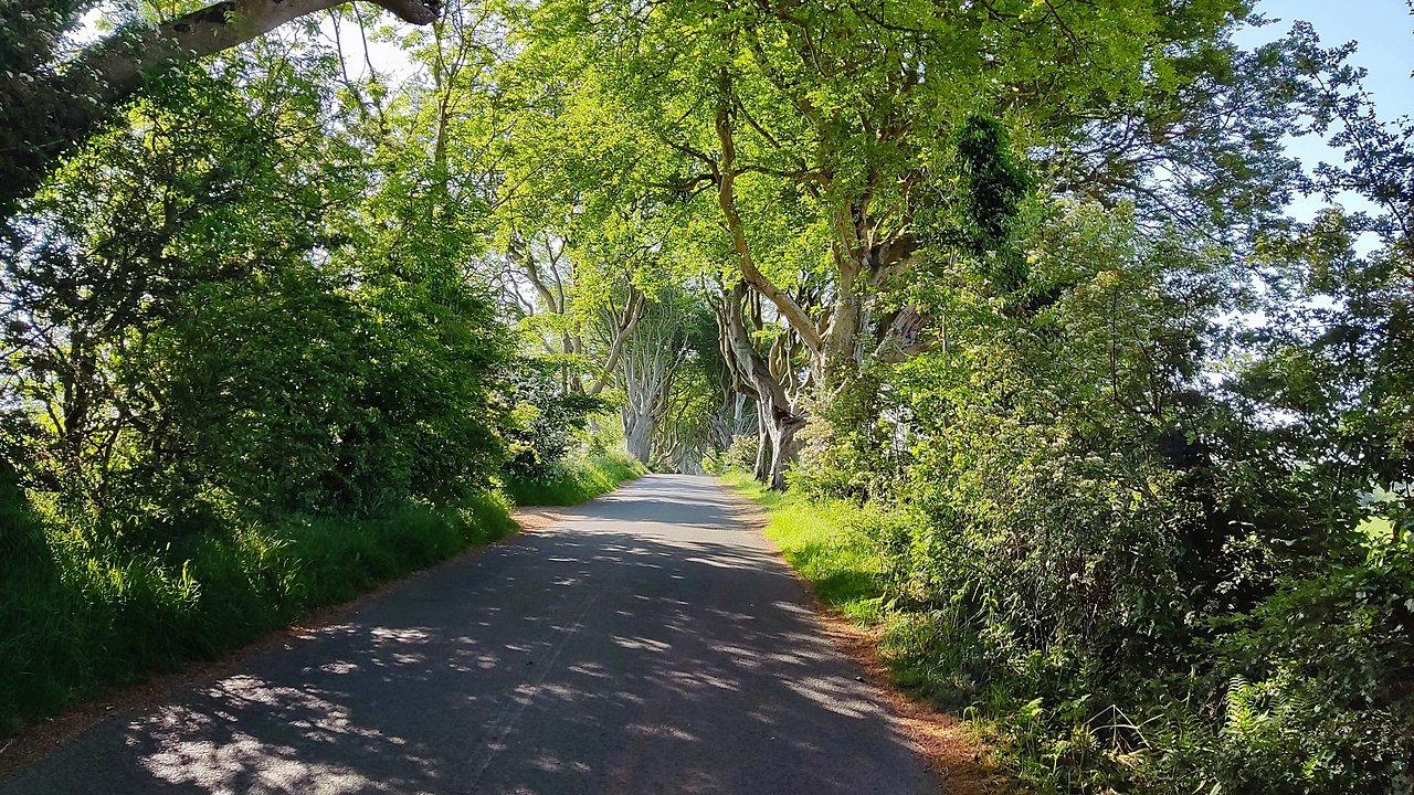 Натиснете снимката за да я уголемите

Име:IMG_20230605_084330.jpg
Прегледи:435
Размер:919.6 КБ
ID:6945641