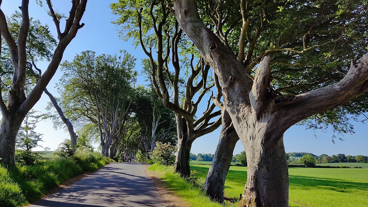 Натиснете снимката за да я уголемите

Име:IMG_20230605_084532.jpg
Прегледи:432
Размер:730.0 КБ
ID:6945643