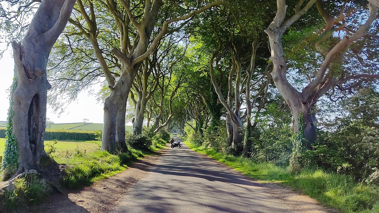 Натиснете снимката за да я уголемите

Име:IMG_20230605_084625.jpg
Прегледи:437
Размер:817.1 КБ
ID:6945645