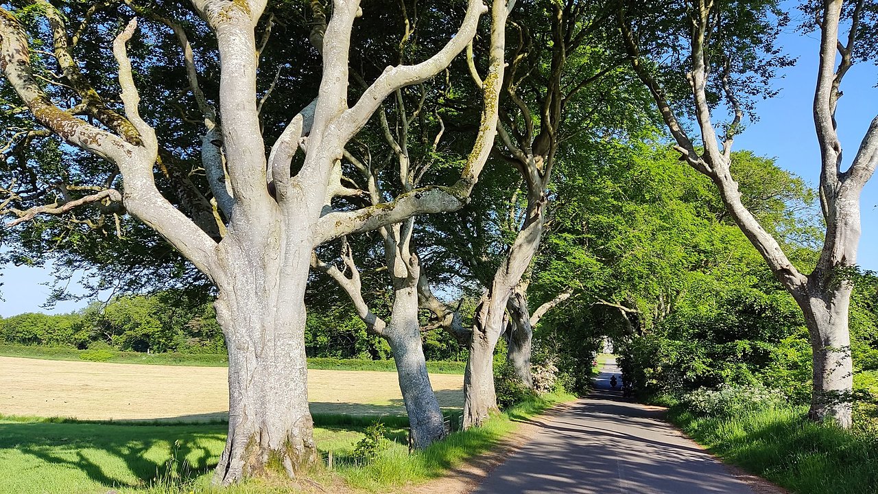 Натиснете снимката за да я уголемите

Име:IMG_20230605_084952.jpg
Прегледи:436
Размер:924.5 КБ
ID:6945651