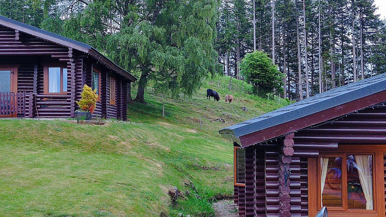 Натиснете снимката за да я уголемите

Име:IMG_20230606_220813.jpg
Прегледи:404
Размер:755.6 КБ
ID:6945800