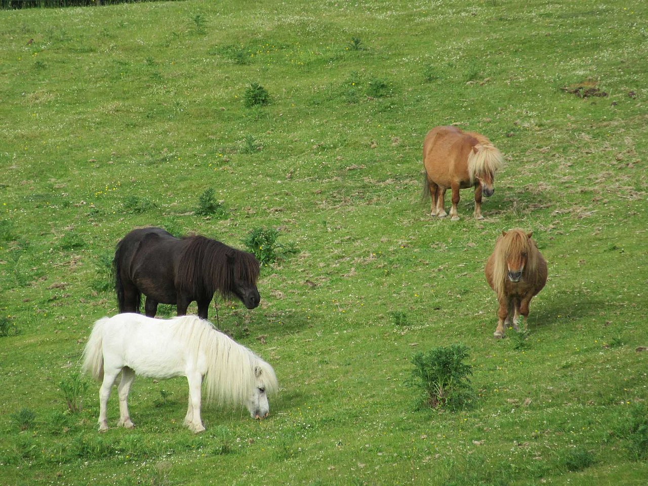 Натиснете снимката за да я уголемите

Име:IMG_2254.jpg
Прегледи:407
Размер:297.6 КБ
ID:6945802