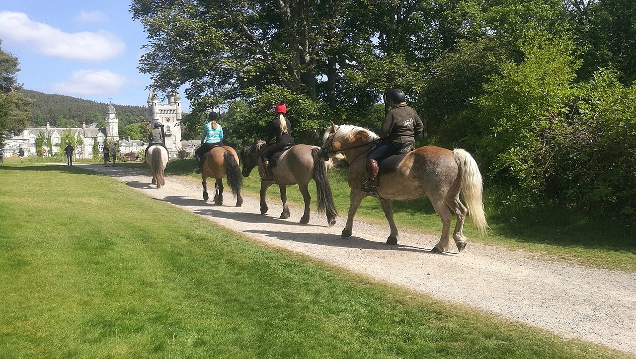 Натиснете снимката за да я уголемите

Име:IMG_20230608_102057.jpg
Прегледи:374
Размер:713.8 КБ
ID:6946010