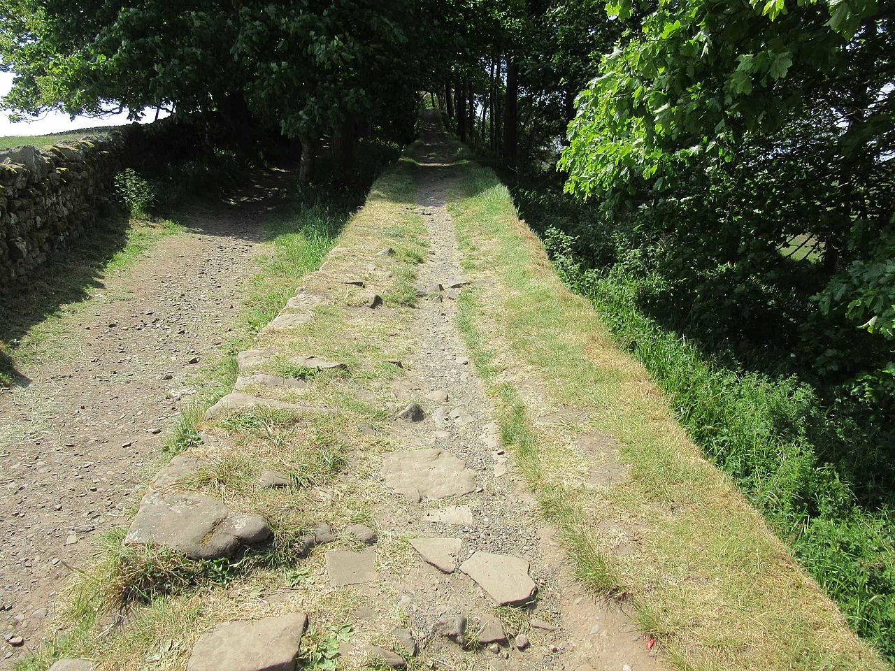 Натиснете снимката за да я уголемите

Име:IMG_2392.jpg
Прегледи:338
Размер:512.4 КБ
ID:6946158