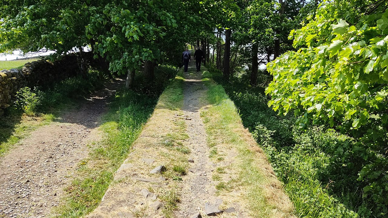 Натиснете снимката за да я уголемите

Име:IMG_20230609_135257.jpg
Прегледи:338
Размер:836.3 КБ
ID:6946162