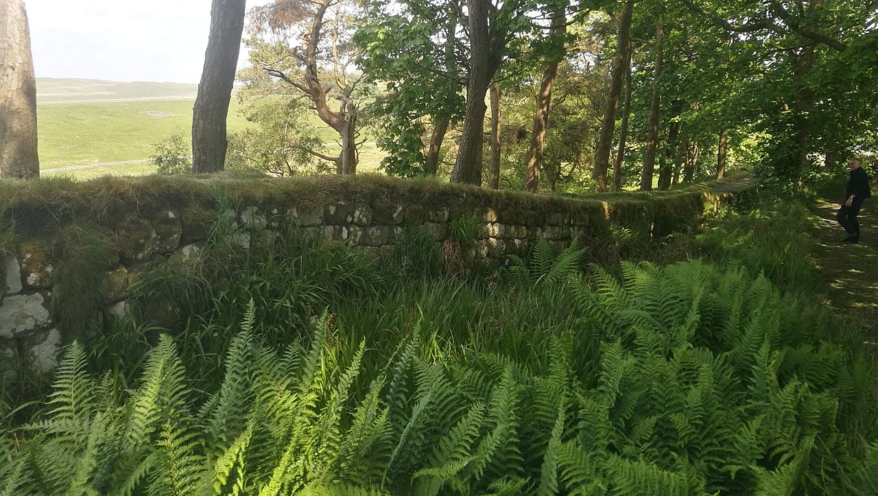 Натиснете снимката за да я уголемите

Име:IMG_20230609_135655.jpg
Прегледи:337
Размер:524.7 КБ
ID:6946164