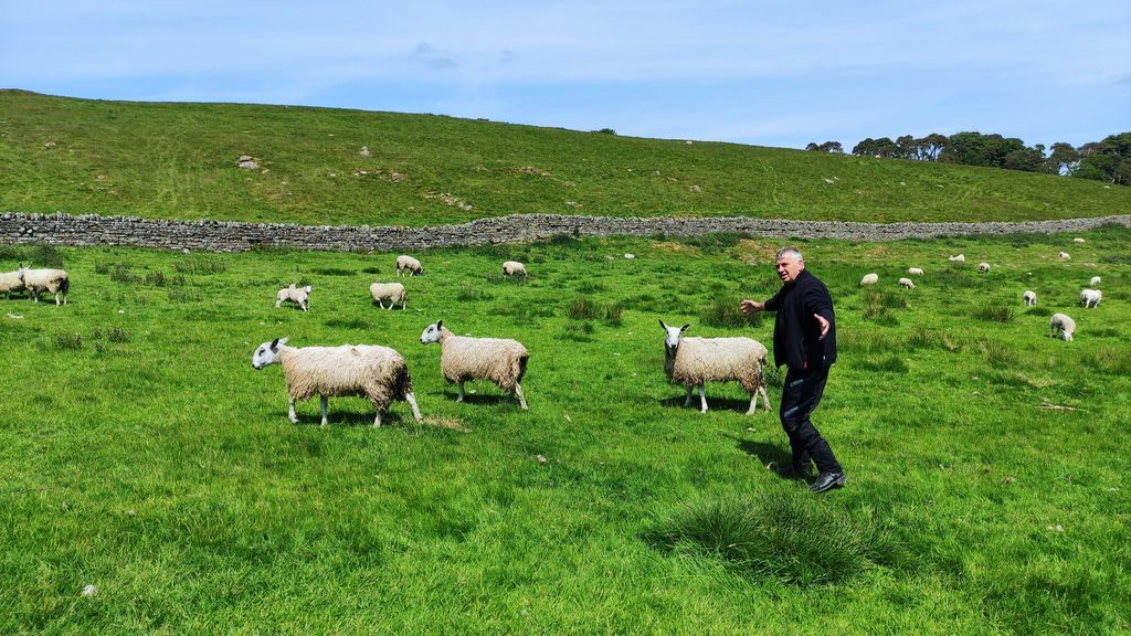 Натиснете снимката за да я уголемите

Име:IMG_20230609_133019_1024x576.jpg
Прегледи:310
Размер:165.7 КБ
ID:6946185